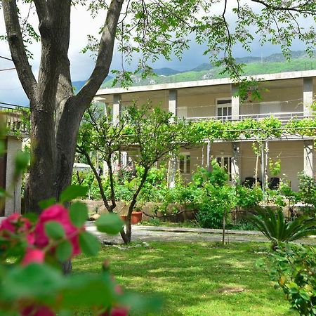 Apartmani Mihovic - Jaz Budva Extérieur photo